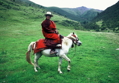 Horse Culture - Grassland Cowboys